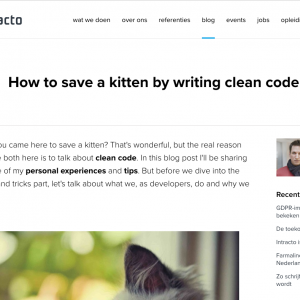 How to save a kitten by writing clean code